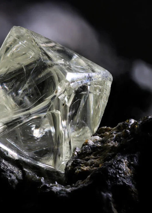 Pale yellow rough diamond crystal with flat angular faces, nestled in dark rough rock, close up